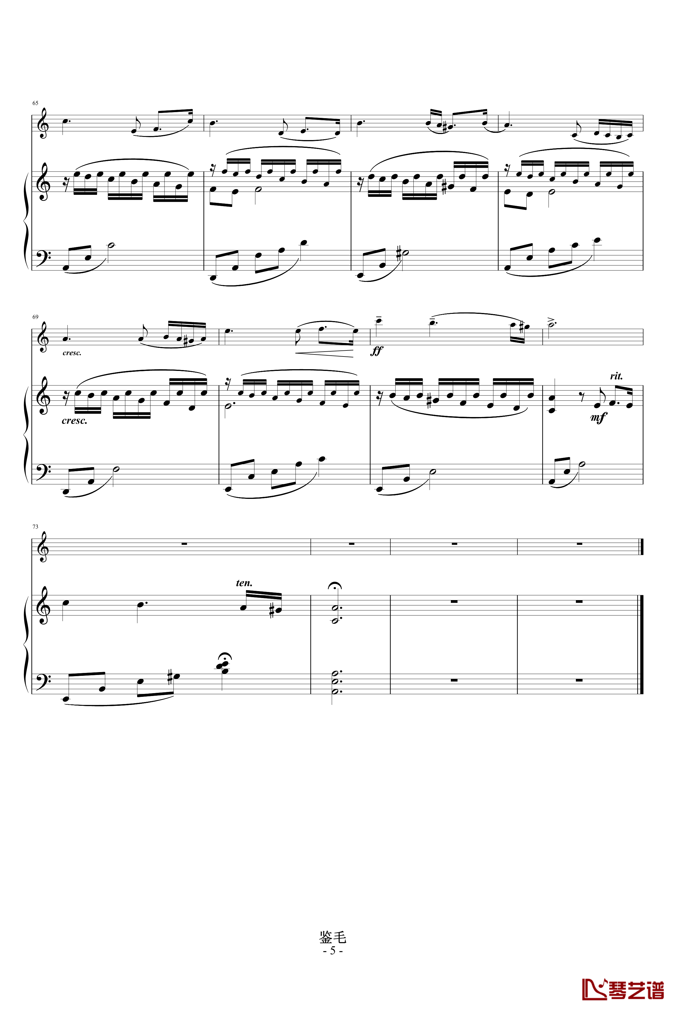 Passacaglia钢琴谱-思亲曲-神秘园5
