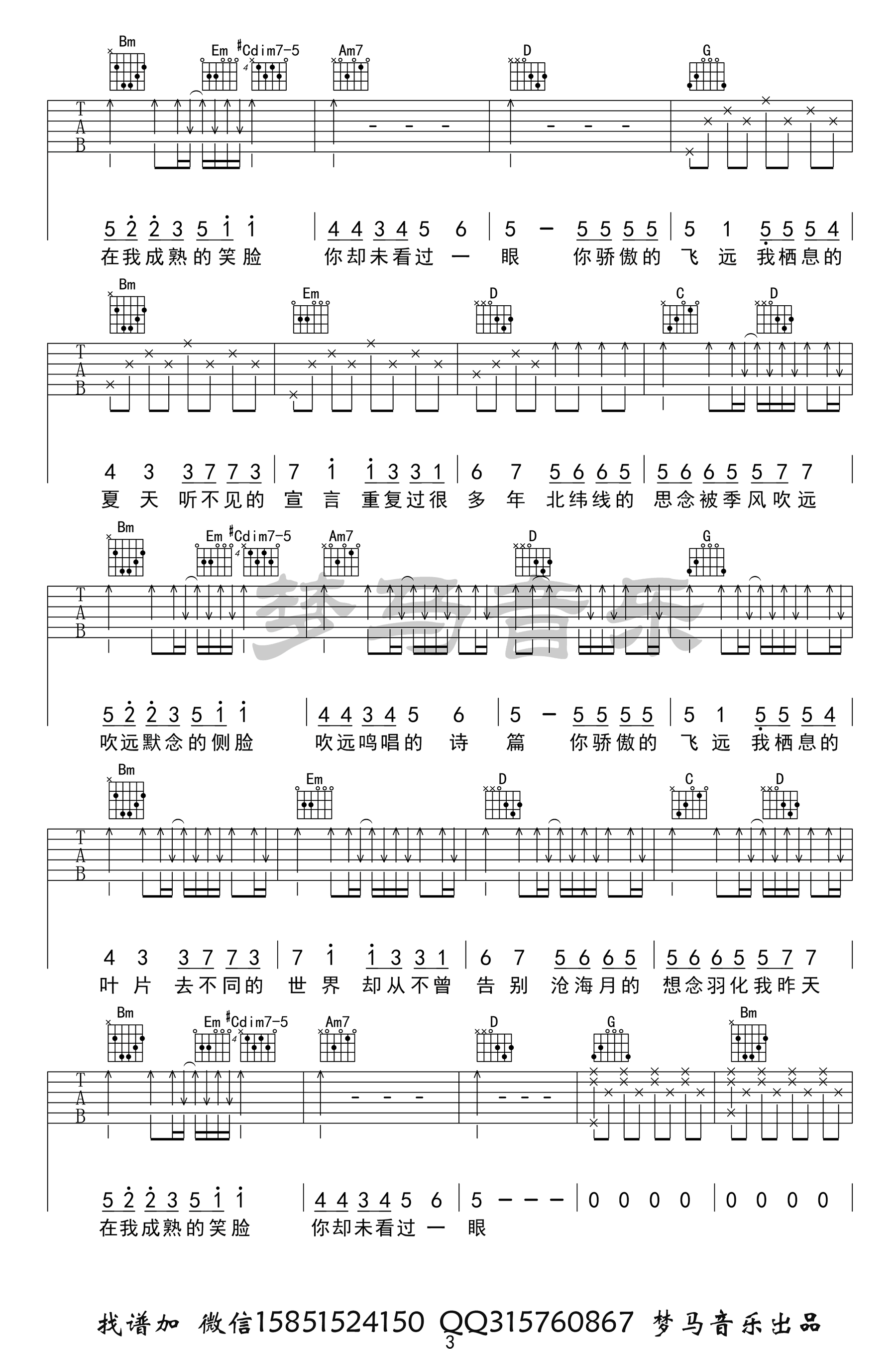 《飞鸟和蝉》吉他谱_任然_G调简单版弹唱六线谱3