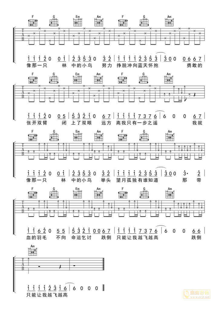葛林-《林中鸟》C调简单版弹唱六线谱-高清图片谱1