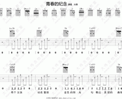 大伟《青春的纪念》吉他谱(F换D调)-Guitar Music Score